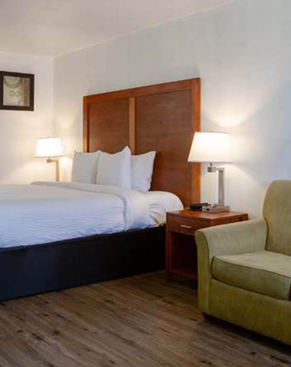 The Hotel Serene in Glendale Arizona